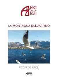 Immagine copertina libro La montagna dell'affido