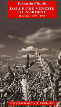 Immagine copertina libro Dalle Tre Venezie al Nordest. Vol. 2: 1946-1969