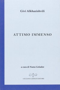 Immagine copertina libro Attimo immenso
