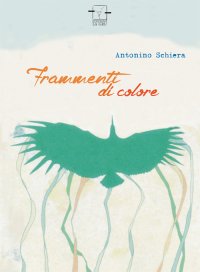 Immagine copertina libro Frammenti di colore
