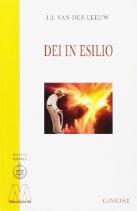Immagine copertina libro Dei in esilio