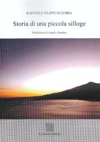 Immagine copertina libro Storia di una piccola silloge
