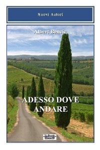 Immagine copertina libro Adesso dove andare