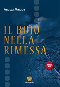 Immagine copertina libro Il buio nella rimessa