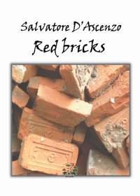 Immagine copertina libro Red bricks