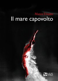 Immagine copertina libro Il mare capovolto