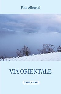 Immagine copertina libro Via orientale