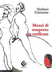 Immagine copertina libro Mezzi di trasporto da verificare