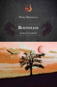 Immagine copertina libro Boundless. Luna calante