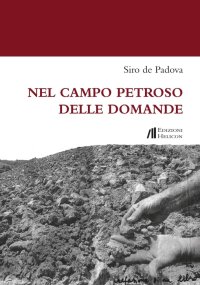 Immagine copertina libro Nel campo petroso delle domande