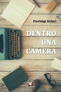 Immagine copertina libro Dentro una camera