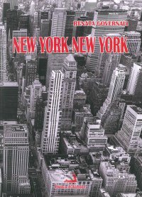 Immagine copertina libro New York New York