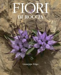 Immagine copertina libro Fiori di roccia