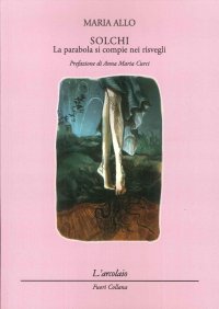 Immagine copertina libro Solchi. La parabola si compie nei risvegli