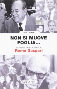 Immagine copertina libro Non si muove una foglia... La vicenda umana e politica di Remo Gaspari
