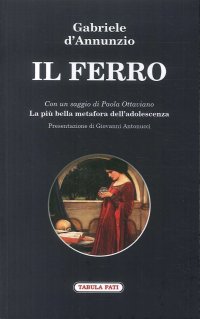 Immagine copertina libro Il ferro