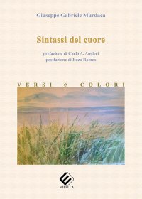 Immagine copertina libro Sintassi del cuore. Versi e colori