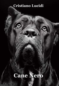 Immagine copertina libro Cane nero