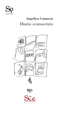 Immagine copertina libro Diario sconosciuto