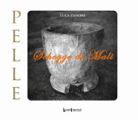 Immagine copertina libro Schegge di Mali