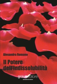 Immagine copertina libro Il potere dell'indissolubilità