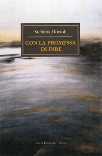 Immagine copertina libro Con la promessa di dire