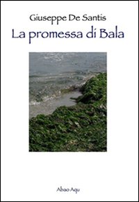 Immagine copertina libro La promessa di Bala