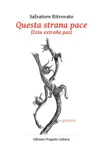 Immagine copertina libro Questa strana pace-Esta extraña paz. Ediz. italiana