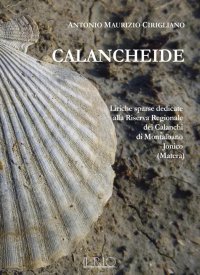 Immagine copertina libro Calancheide. Liriche sparse dedicate alla Riserva regionale dei Calanchi di Montalbano Jonico (Matera)
