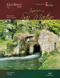 Immagine copertina libro Imprese a San Martino. Quattordici storie aziendali