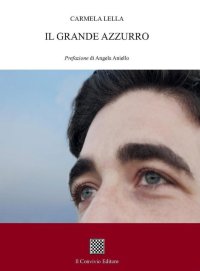 Immagine copertina libro Il grande azzurro