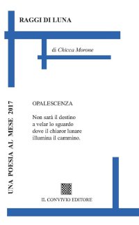 Immagine copertina libro Raggi di luna