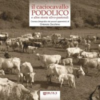 Immagine copertina libro Il caciocavallo podolico e altre storie silvo-pastorali. Cronaca fotografica dai pascoli appenninici. Ediz. illustrata