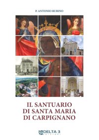 Immagine copertina libro Il santuario di Santa Maria di Carpignano