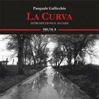 Immagine copertina libro La curva. Introspezioni e accessi
