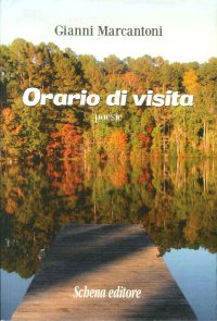 Immagine copertina libro Orario di visita