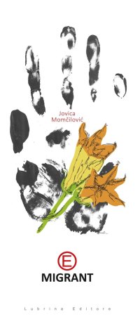 Immagine copertina libro Emigrant