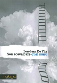 Immagine copertina libro Non scavalcare quel muro