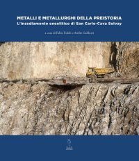 Immagine copertina libro Metalli e metallurghi della preistoria. L'insediamento eneolitico di San Carlo-Cava Solvay