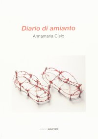 Immagine copertina libro Diario di amianto