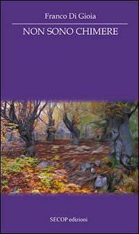 Immagine copertina libro Non sono chimere