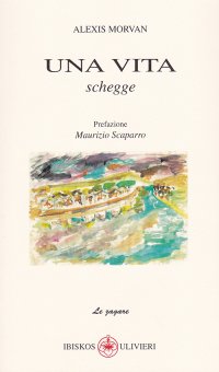 Immagine copertina libro Una vita. Schegge