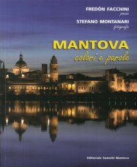 Immagine copertina libro Mantova. Colori e parole. Ediz. illustrata