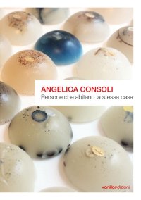 Immagine copertina libro Angelica Consoli. Persone che abitano la stessa casa. Ediz. illustrata