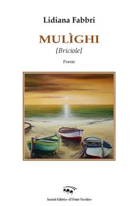 Immagine copertina libro Mulìghi (briciole)