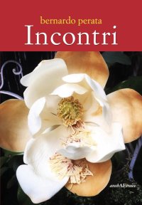 Immagine copertina libro Incontri