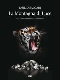 Immagine copertina libro La montagna di luce