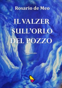 Immagine copertina libro Il valzer sull'orlo del pozzo