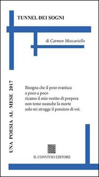 Immagine copertina libro Tunnel dei sogni