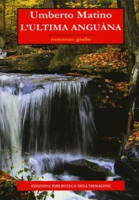 Immagine copertina libro L'ultima Anguàna